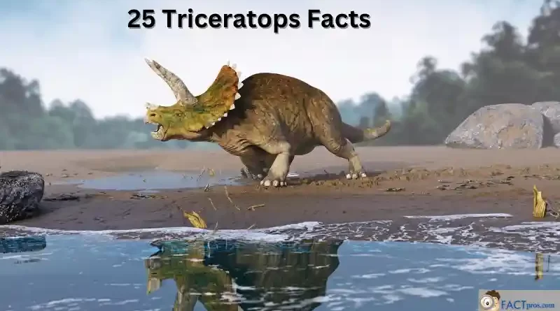 Triceratops by a lake